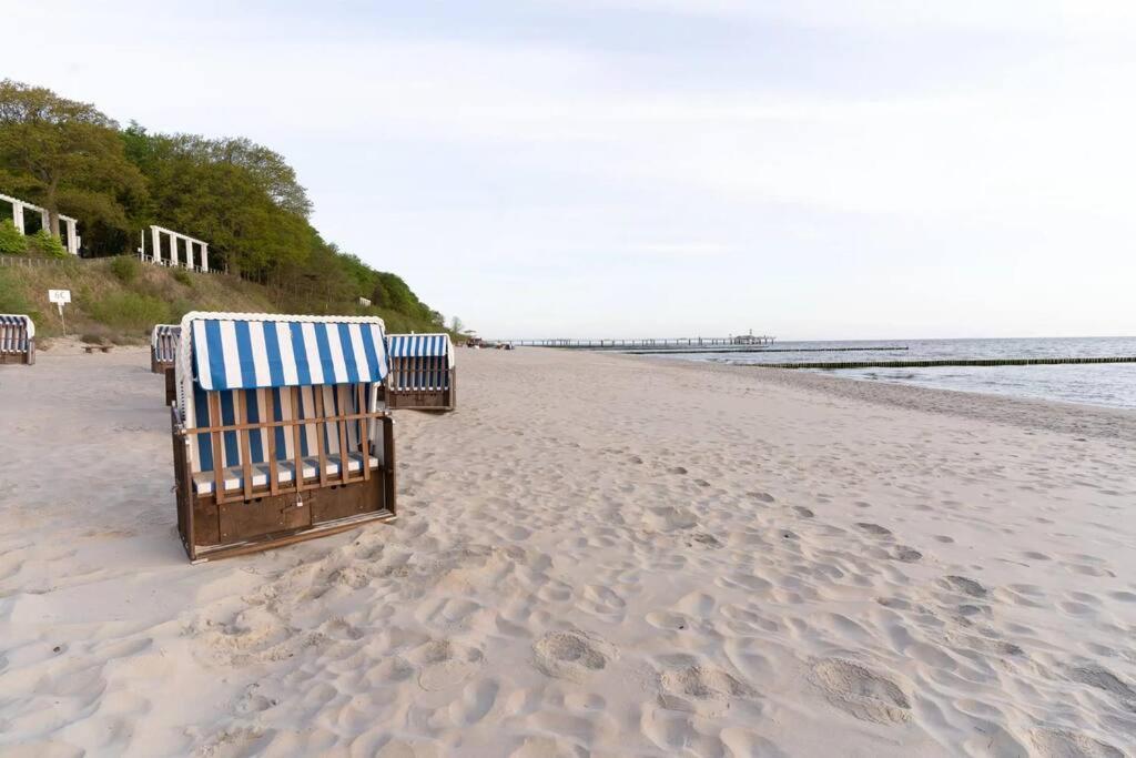 Ferienhaus Koserow, Usedom, 8 Pers., Hunde Erlaubt 外观 照片